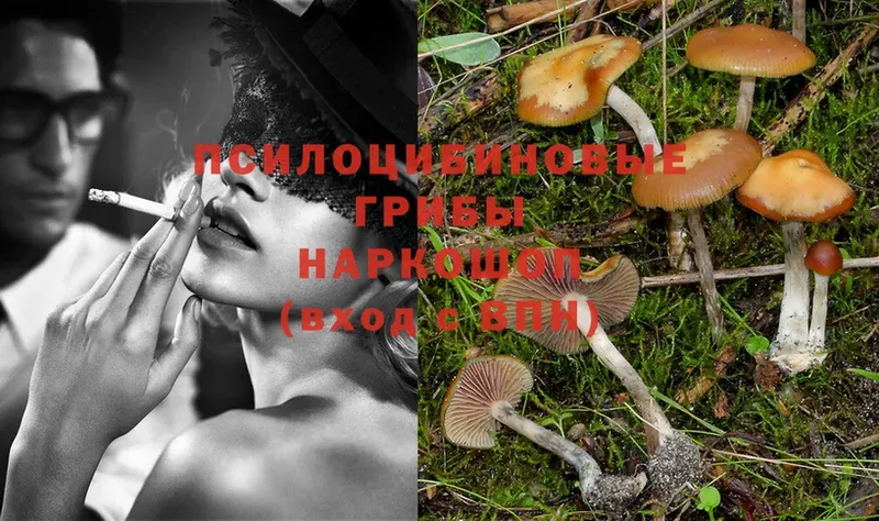 Галлюциногенные грибы Magic Shrooms  купить наркотики цена  Новоалтайск 